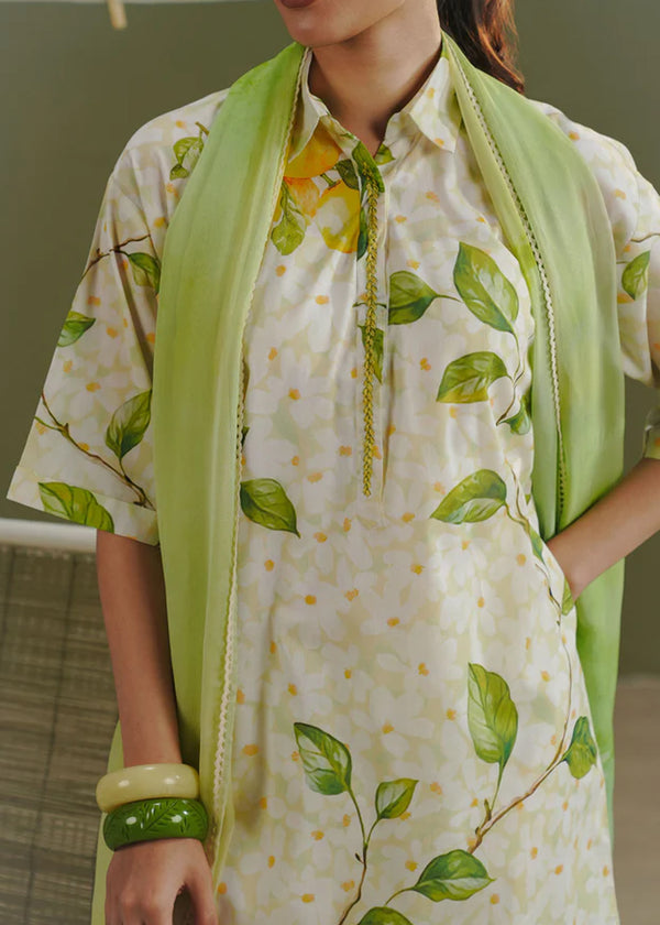 20260120120338-16e0c089ec8046c1-media_image-dda8dc25f98a4c0e8709fe5dfcae1581