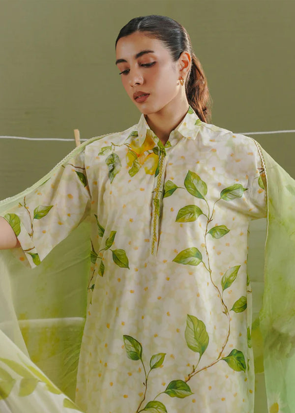 20260120120339-e19f51f99f224174-media_image-0cf0999d7ac848afbf07064cc156e262