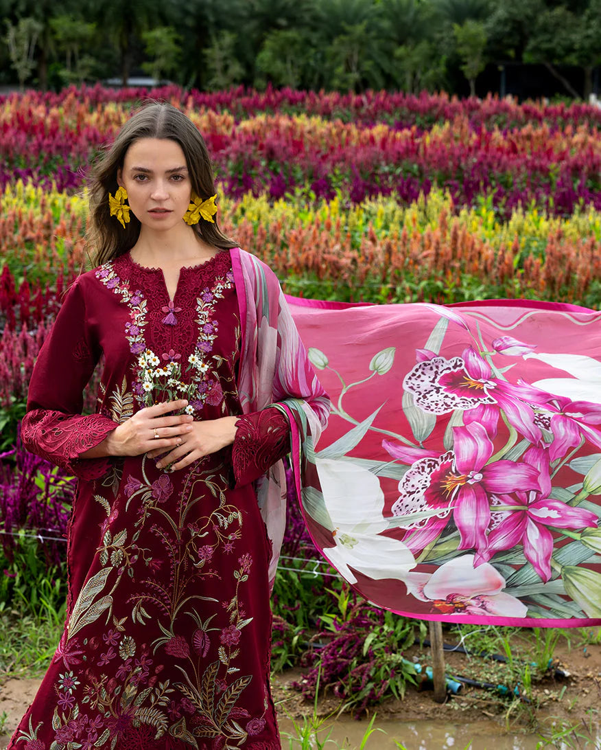 AuroraPetals_3_1000x_a16e2b62-308c-4e7e-aaec-81fd48300054