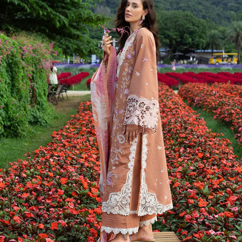 RosetteReverie_2_1000x_2938da24-eb85-4af1-8d05-042c2a49bad7