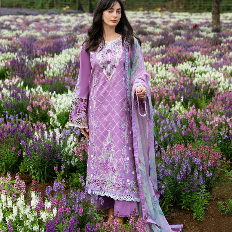 SecretThicket_2_1000x_1e83808c-32c4-401d-b3f3-0ca6b1171130